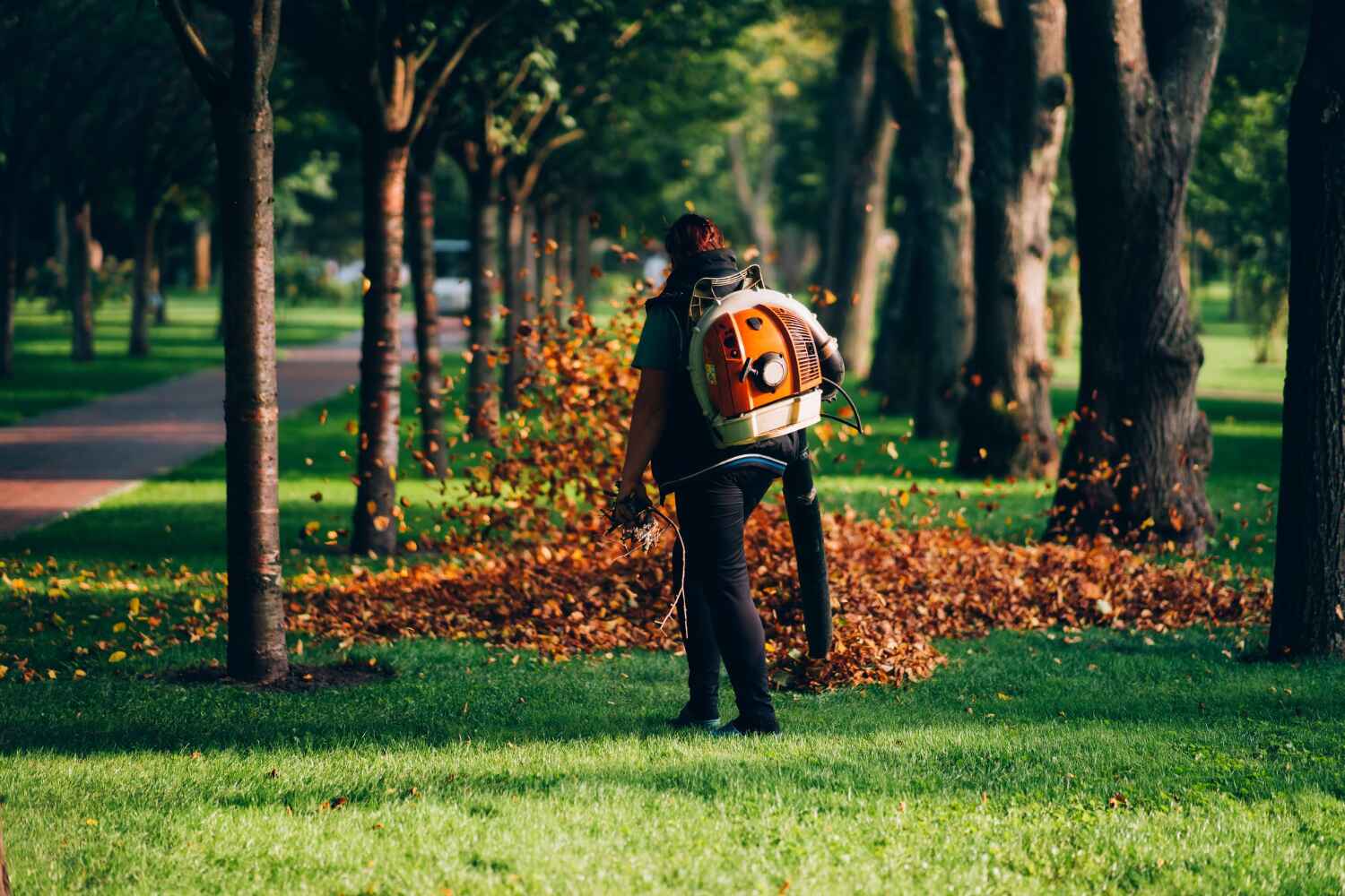 Best Arborist Services Near Me  in USA